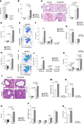 The Pioneer Transcription Factor Foxa2 Modulates T Helper Differentiation to Reduce Mouse Allergic Airway Disease